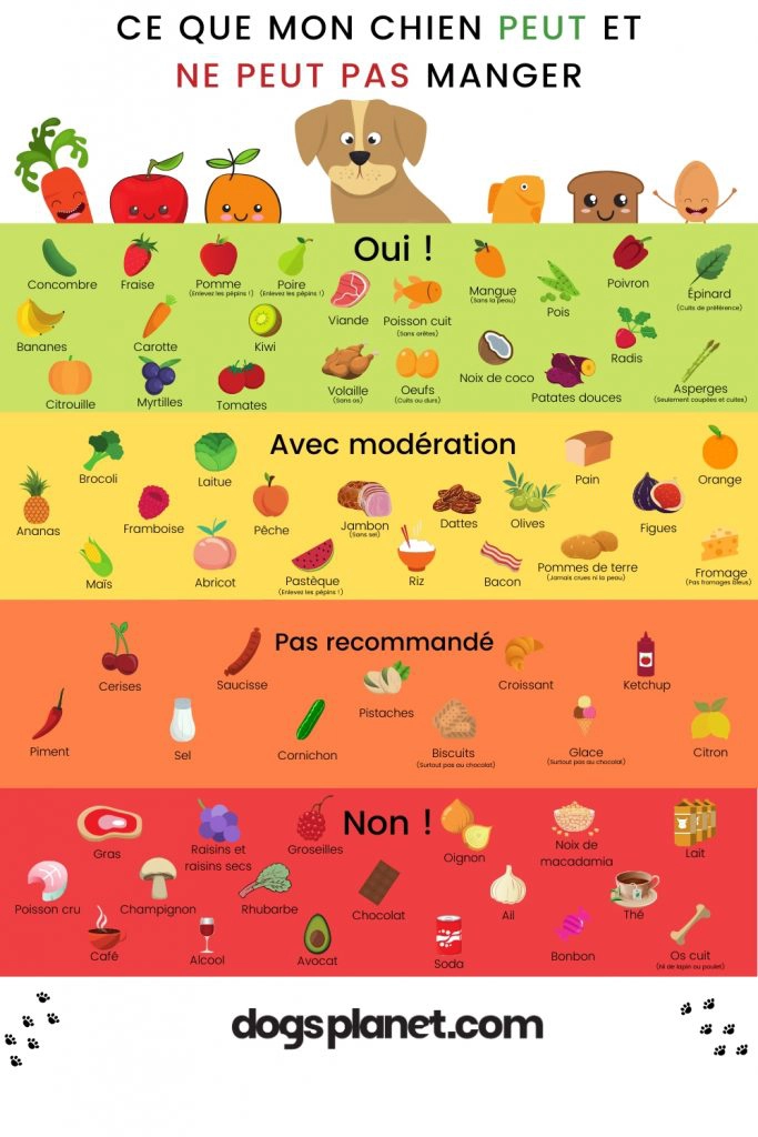 Infographie-aliments-autorises-interdits-toxiques-chien-dogsplanet