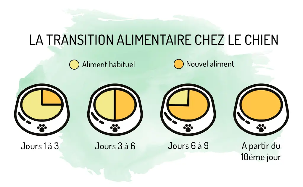 infographie-transition-alimentaire.jpg